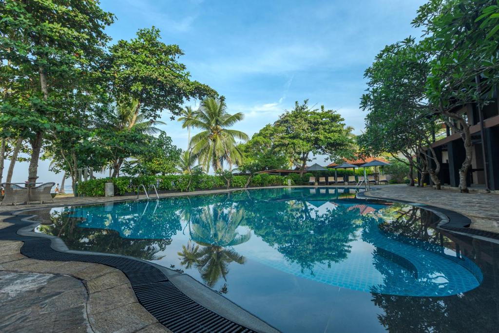 Earl's Reef, Beruwala