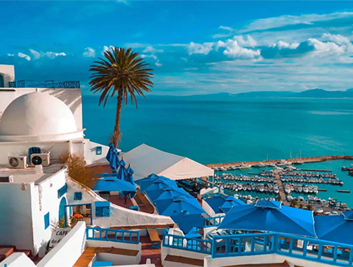 تونس